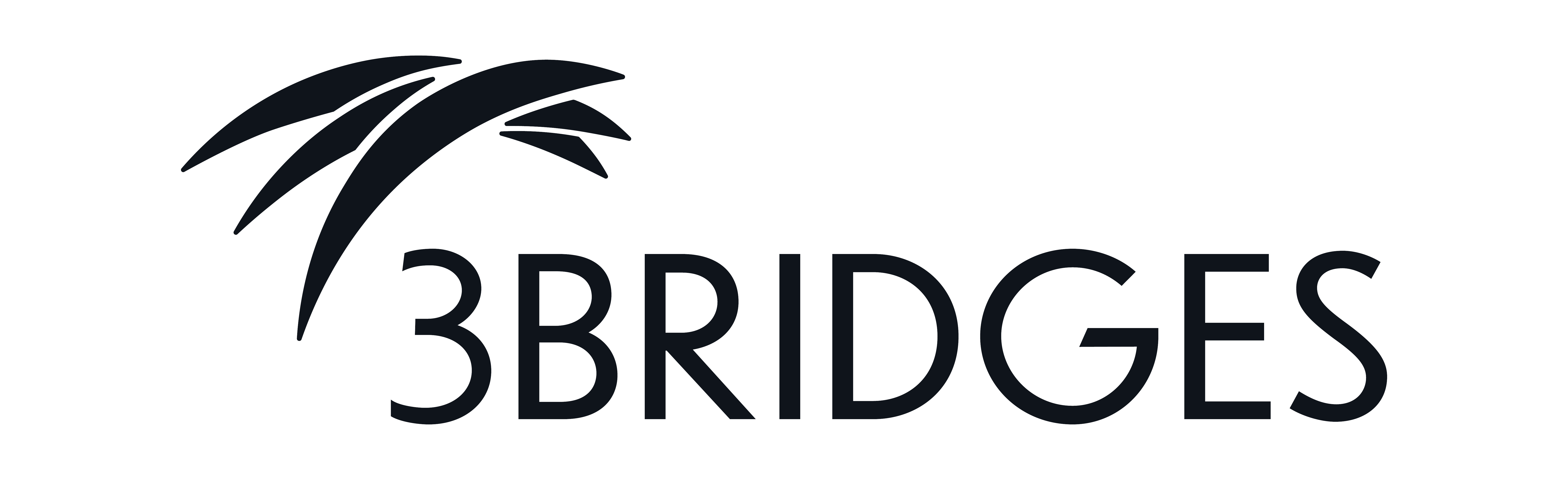 3Bridges