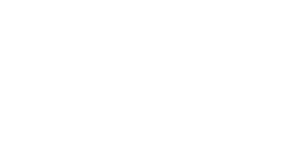 Integrated Disability Support Services